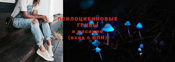 ПСИЛОЦИБИНОВЫЕ ГРИБЫ Верхний Тагил