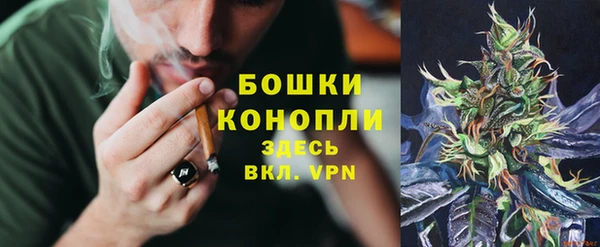 ПСИЛОЦИБИНОВЫЕ ГРИБЫ Верхний Тагил